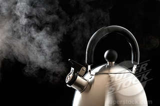 BRAND NEW*** WHISTLING KETTLE*** FUNKY COLOURS***2.5L