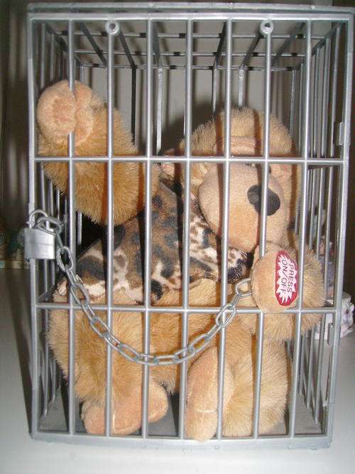 Gorgeous Monkey in Cage Makes Monkey Sounds!!