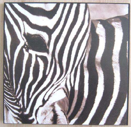 Zebra print on mount board 29x30cm