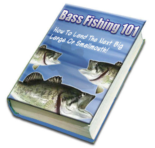 Bass  Fishing 101