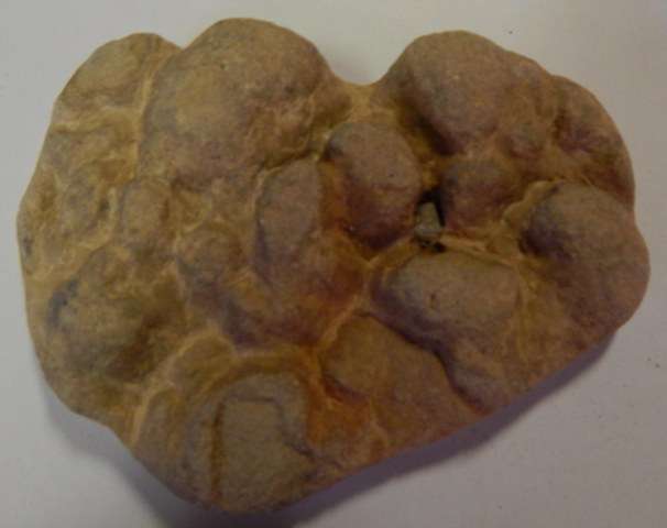 Stromtolite - FREE POSTAGE AND PACKAGING