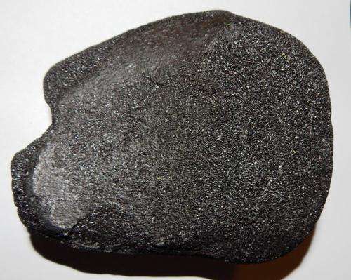 Fossil whale paddle bone - FREE POSTAGE AND PACKAGING