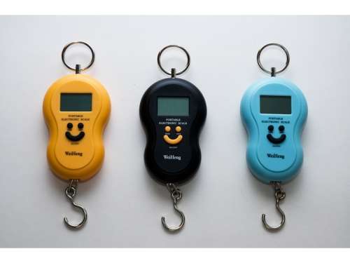 Portable 40kg Electronic Multi-Purpose Luggage Weighing Scale with Batteries - Assorted Color