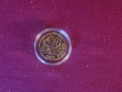 ! POUND 12 SIDED   NEW 2016.24 CT GOLD PLATED  COIN