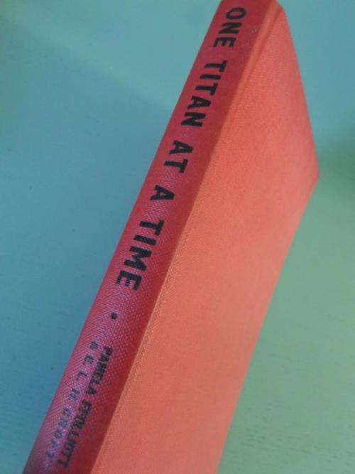 The Story of John Patterson of Port Elizabeth. ONE TITAN AT A TIME. By Pamela FFolliott