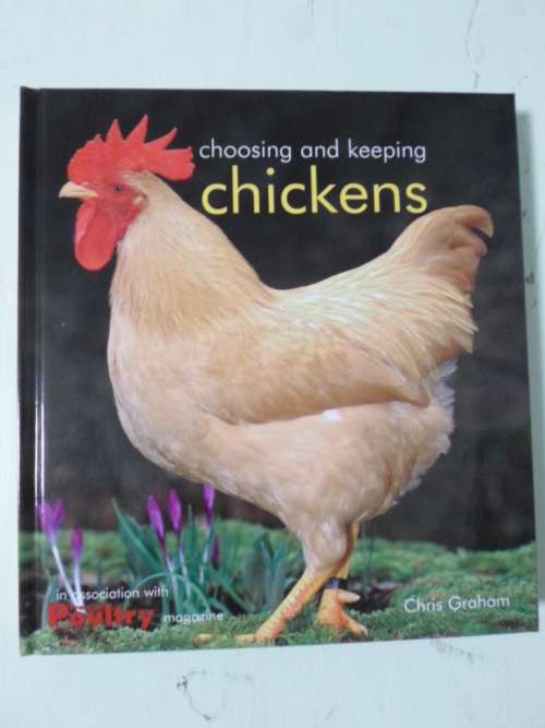 Choosing and keeping CHICKENS