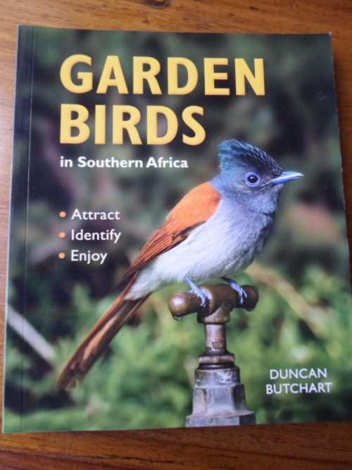 GARDEN BIRDS IN SOUTHERN AFRICA