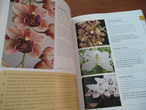 ANYONE CAN GROW ORCHIDS. Nollie Cilliers & Tinus Oberholzer