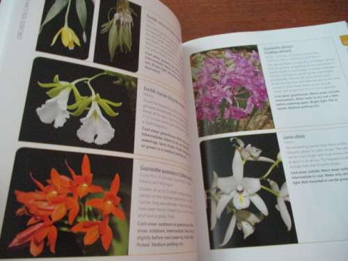 ANYONE CAN GROW ORCHIDS. Nollie Cilliers & Tinus Oberholzer