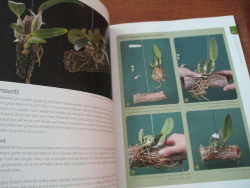 ANYONE CAN GROW ORCHIDS. Nollie Cilliers & Tinus Oberholzer