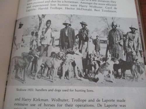 Kruger National Park Lion Management Operations. LION. By GL Smuts