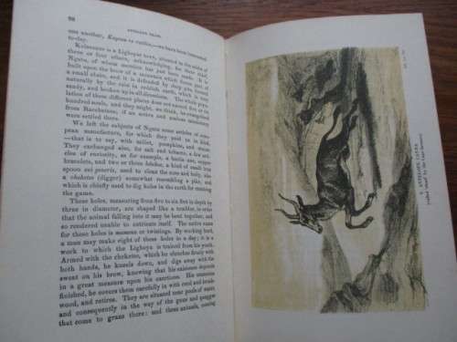 Narrative of an Exploratory Tour to the North-East of the Colony of the Cape of Good Hope