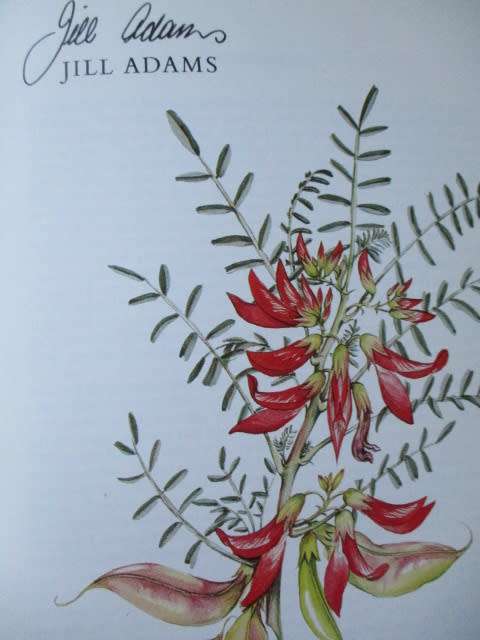Signed copy. WILD FLOWERS OF THE NORTHERN CAPE / VELDBLOMME VAN NOORD-KAAPLAND