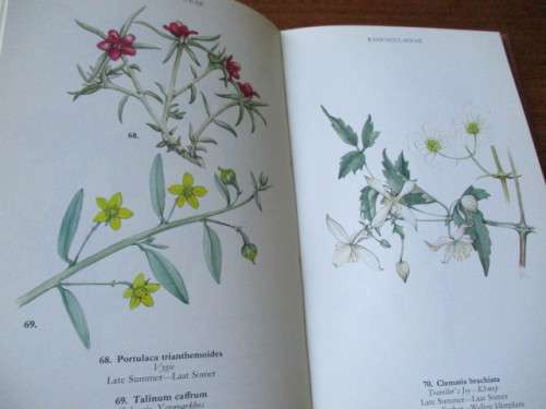 Signed copy. WILD FLOWERS OF THE NORTHERN CAPE / VELDBLOMME VAN NOORD-KAAPLAND