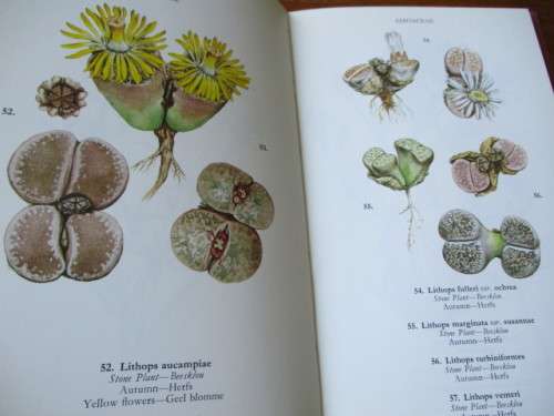 Signed copy. WILD FLOWERS OF THE NORTHERN CAPE / VELDBLOMME VAN NOORD-KAAPLAND