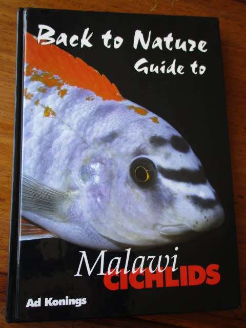 MALAWI CICHLIDS