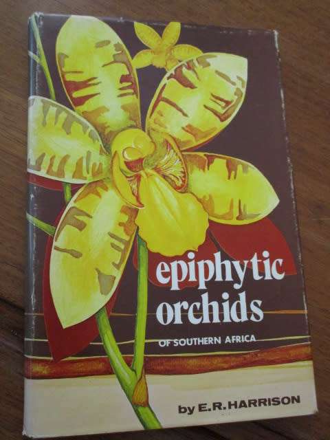 Epiphytic Orchids of Southern Africa