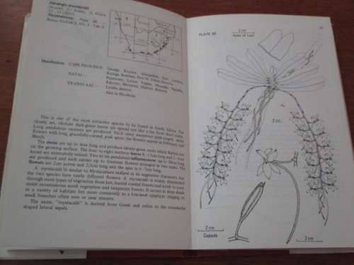 Epiphytic Orchids of Southern Africa