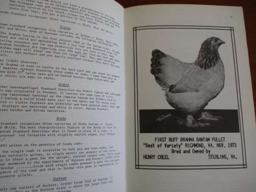 Bantam breeding and genetics