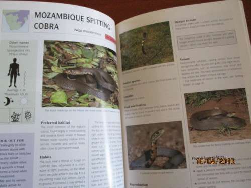 Snakes & Snake Bite in Southern Africa