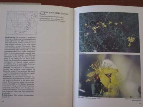 Gifplante van Suid-Afrika wat veeverliese veroorsaak