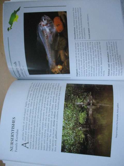 Freshwater fishes of the Timikwa region, New Guinea