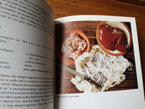 AFVAL EN AFVALLIGHEIDJIES. Dine van Zyl