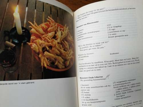 AFVAL EN AFVALLIGHEIDJIES. Dine van Zyl