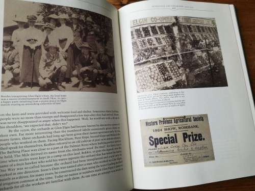 APPLES OF THE SUN - The Molteno Brothers