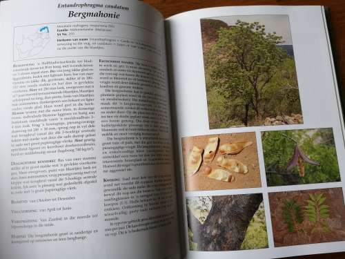 BENUT ONS INHEEMSE BOME Fanie en July-Ann Venter