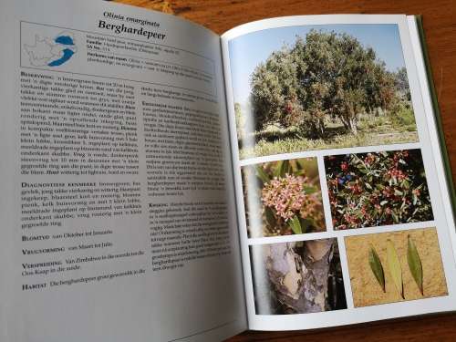 BENUT ONS INHEEMSE BOME Fanie en July-Ann Venter