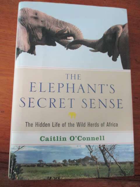 THE ELEPHANT'S SECRET SENSE  The hidden life of the Wild Herds of Africa