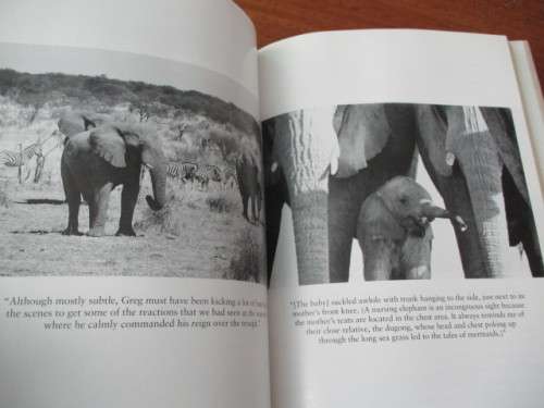 THE ELEPHANT'S SECRET SENSE  The hidden life of the Wild Herds of Africa