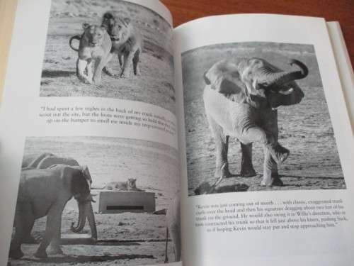 THE ELEPHANT'S SECRET SENSE  The hidden life of the Wild Herds of Africa
