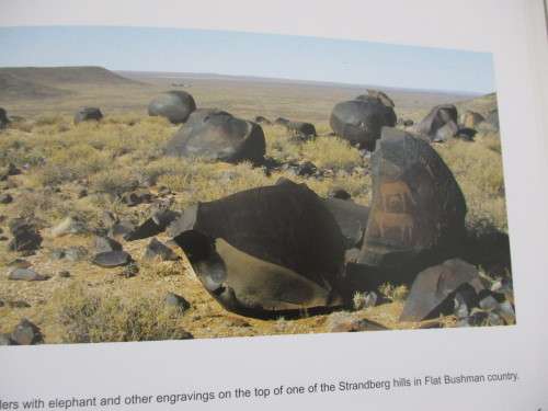 KAROO ROCK ENGRAVINGS. Follow the San... John Parkington ea