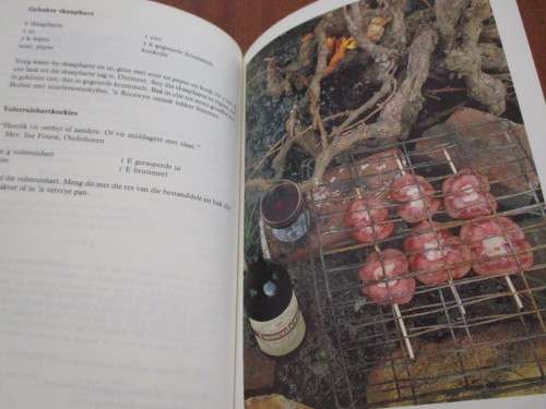 AFVAL EN AFVALLIGHEIDJIES. Dine van Zyl