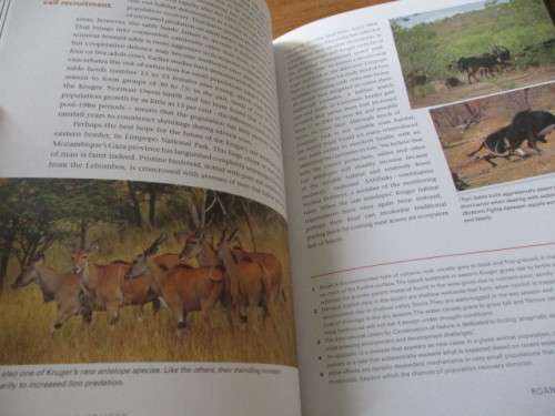 SHAPING KRUGER. Managing Wildlife in Kruger Park