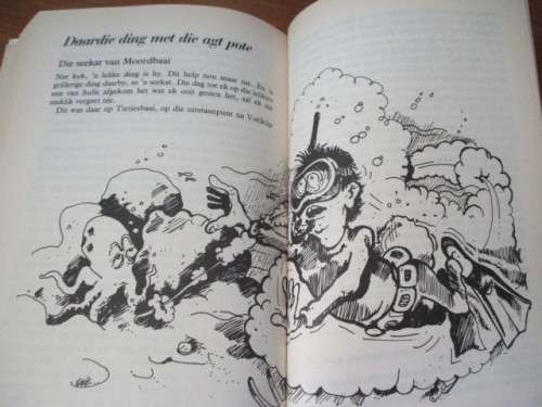 Pieter Pieterse SPOOKHUISKOS