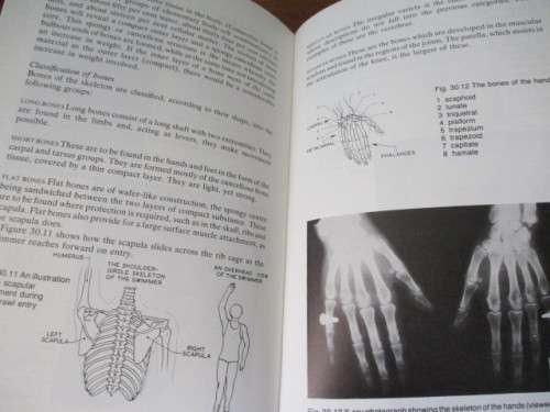 The Science of Teaching Swimming