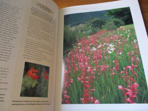 Waterbesparende Inheemse Tuinmaak - Ernst van Jaarsveld