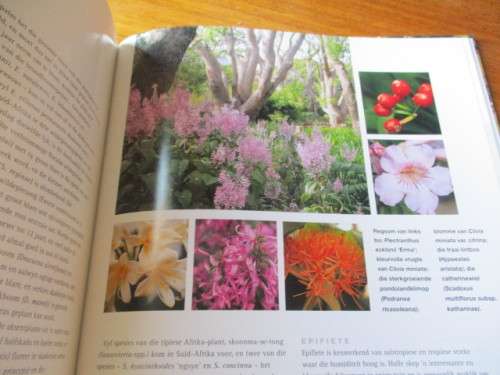 Waterbesparende Inheemse Tuinmaak - Ernst van Jaarsveld