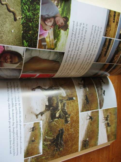 101 KRUGER TALES. Extraordinary Stories Kruger National Park