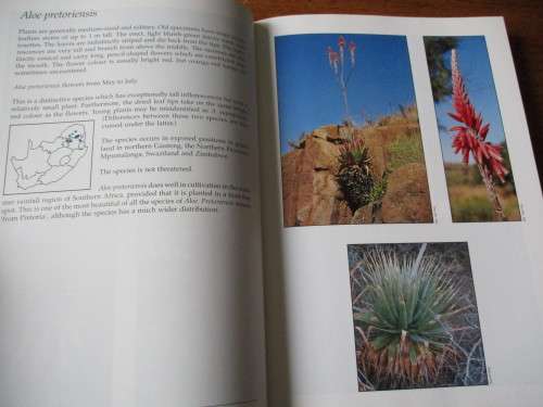 GUIDE TO THE ALOES OF SOUTH AFRICA  Ben-Erik van Wyk Gideon Smith