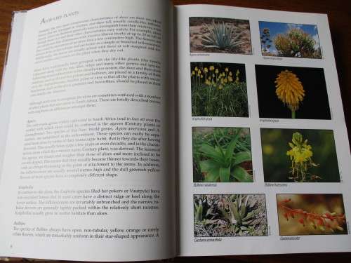 GUIDE TO THE ALOES OF SOUTH AFRICA  Ben-Erik van Wyk Gideon Smith