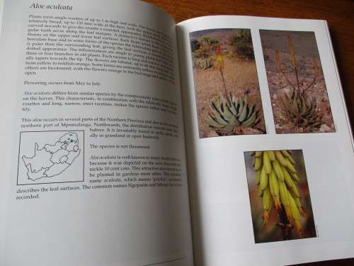 GUIDE TO THE ALOES OF SOUTH AFRICA  Ben-Erik van Wyk Gideon Smith