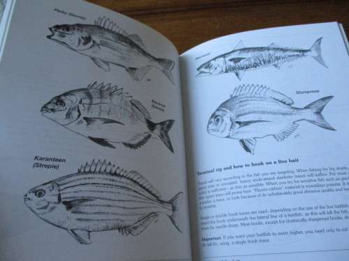 BAIT IS THE SECRET Angling Guide  Nickie Louwrens