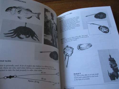 BAIT IS THE SECRET Angling Guide  Nickie Louwrens