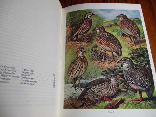 Gamebirds of Southern Africa