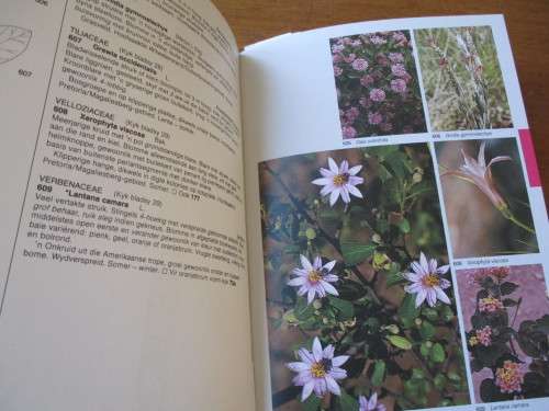 Veldblomgids tot die veldblomme van die Witwatersrand- & Pretoria-gebied  Braam van Wyk Sasa Malan