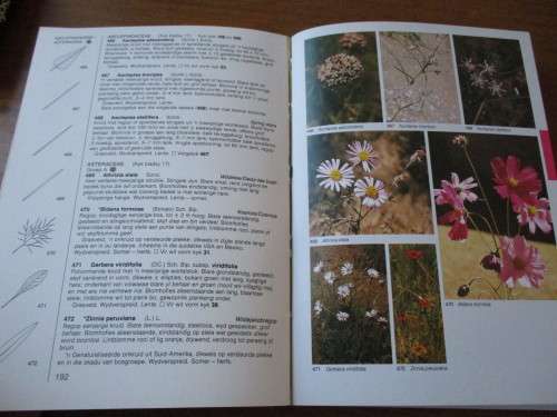 Veldblomgids tot die veldblomme van die Witwatersrand- & Pretoria-gebied  Braam van Wyk Sasa Malan